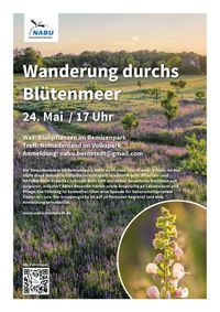 Plakat_Pflanzenwanderung_hoch